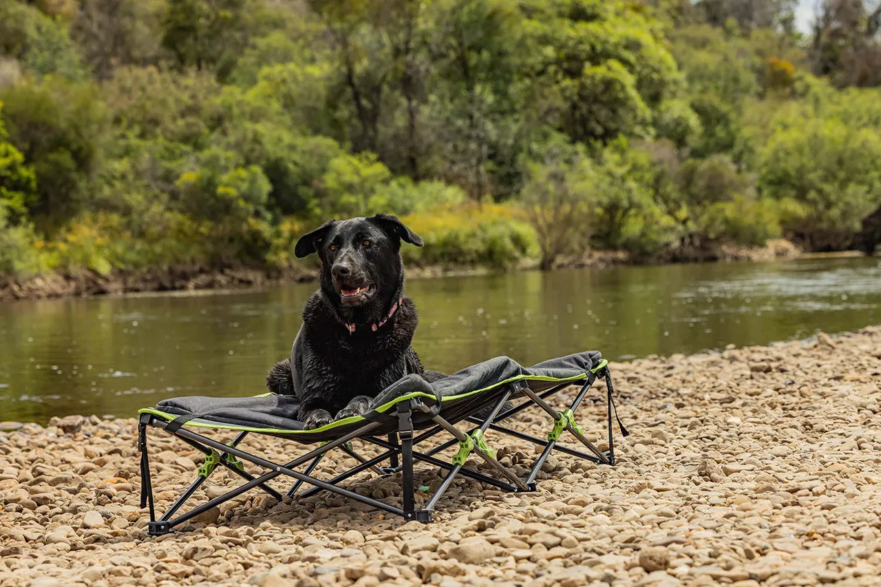 QUICK FOLD DOG BED WITH PADDED MAT (XL)